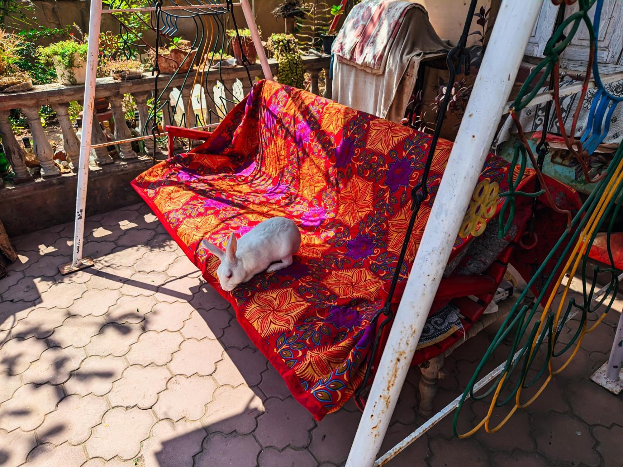 Jaat House Villa Bhuj Eksteriør bilde
